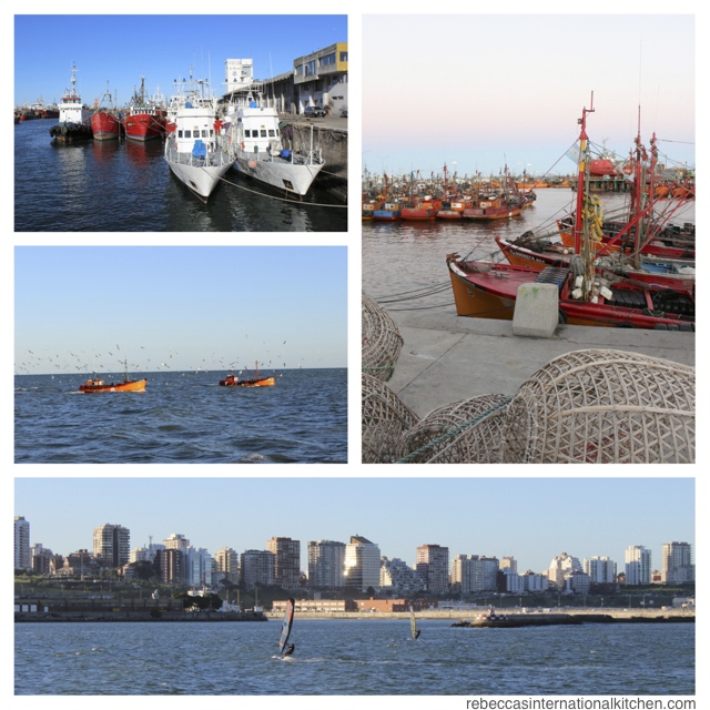 Cruise from the Port of Mar del Plata, Argentina