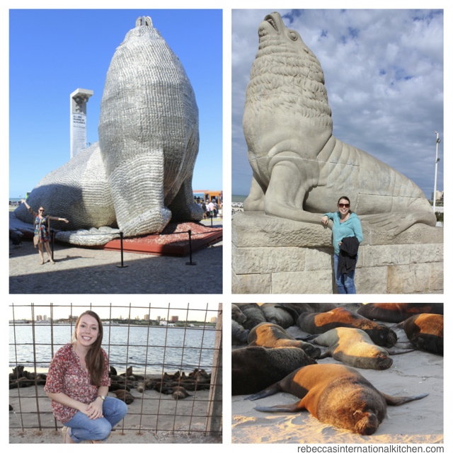 Take Pictures with the Sea Lions in Mar del Plata, Argentina