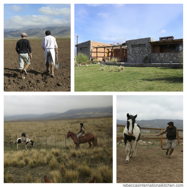 Mendoza's Best Ranch: Estancia La Alejandra
