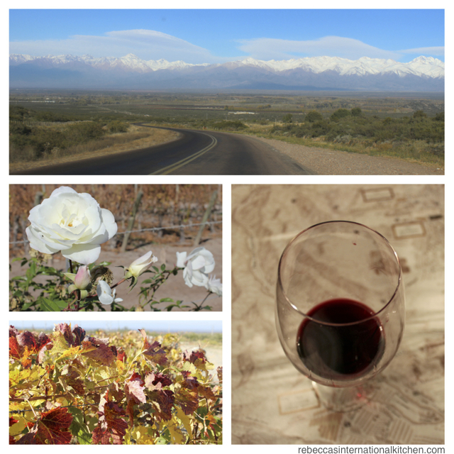 10 Best Winery Experiences in Mendoza, Argentina