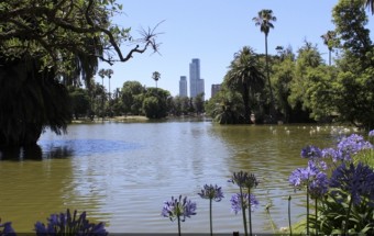 Exploring Buenos Aires: What to Do in Palermo