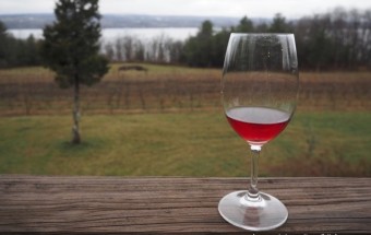 Exploring the Finger Lakes: The Best Wineries & Breweries Around Seneca Lake