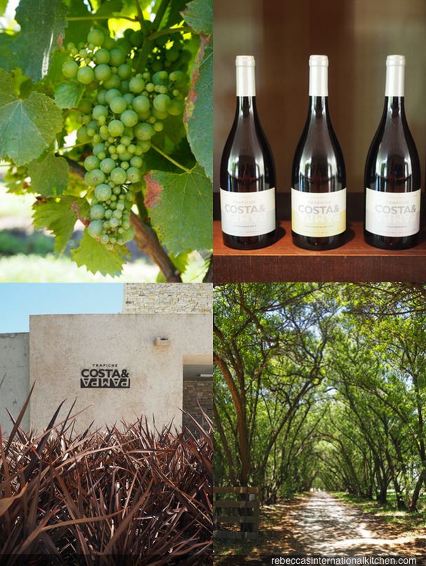 Bodega Costa & Pampa - A Unique Winery in Argentina